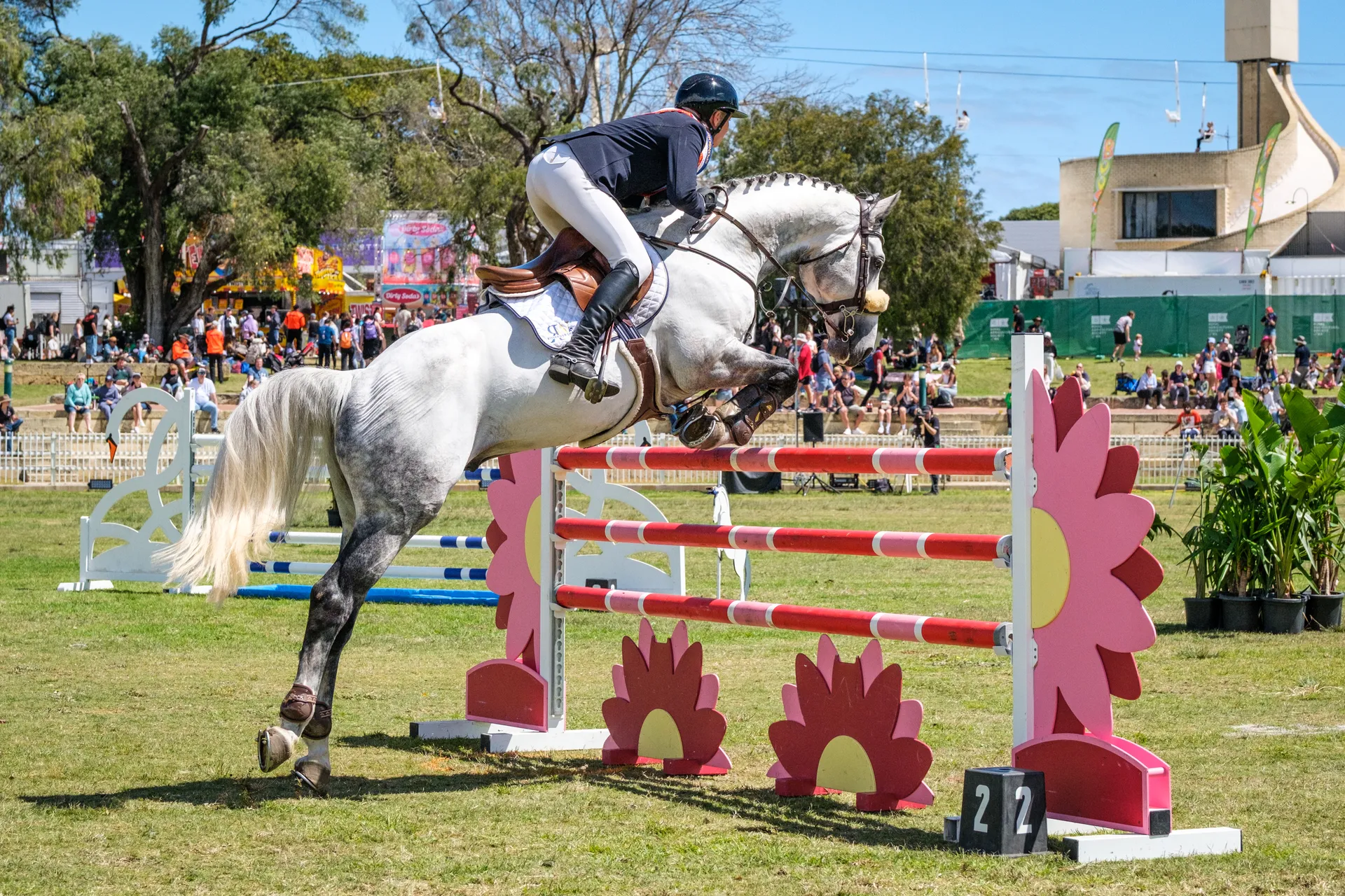 Show Jumping