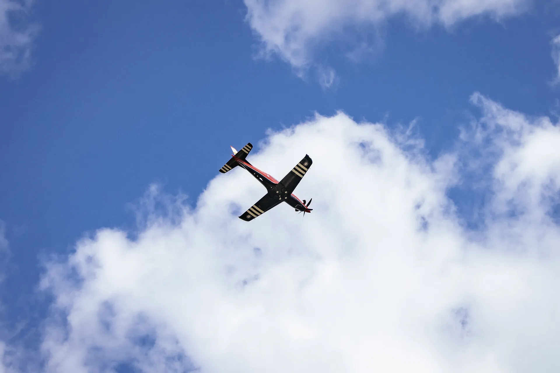 Veterans Day Flyover