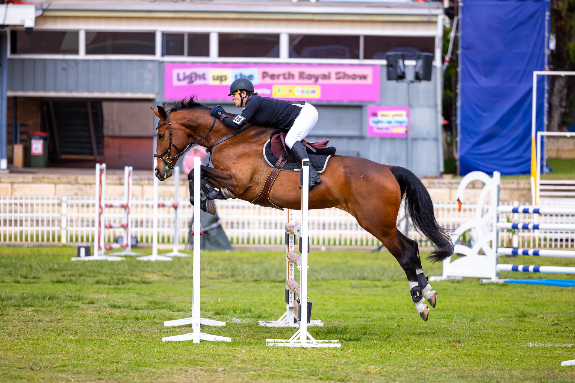 Show Jumping