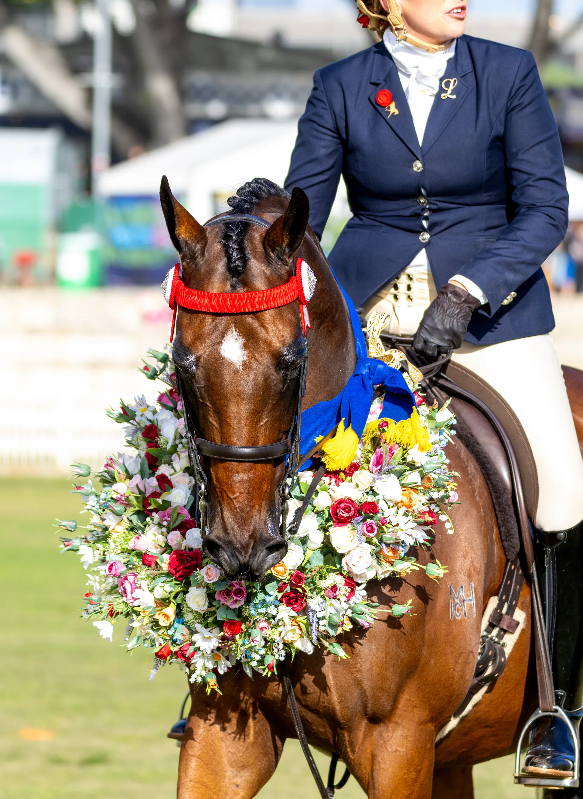Show Horse