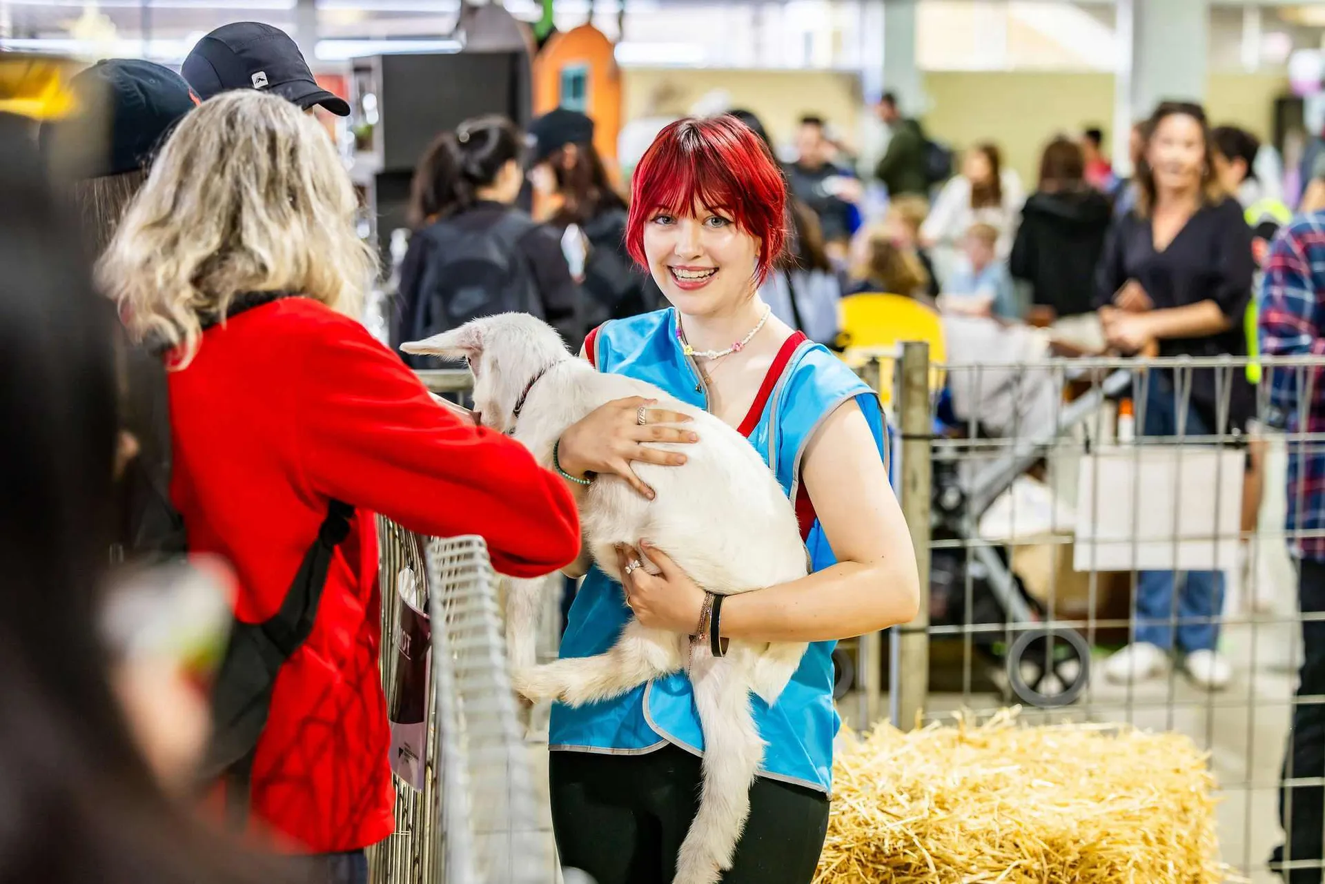 A Great Way to Get Involved