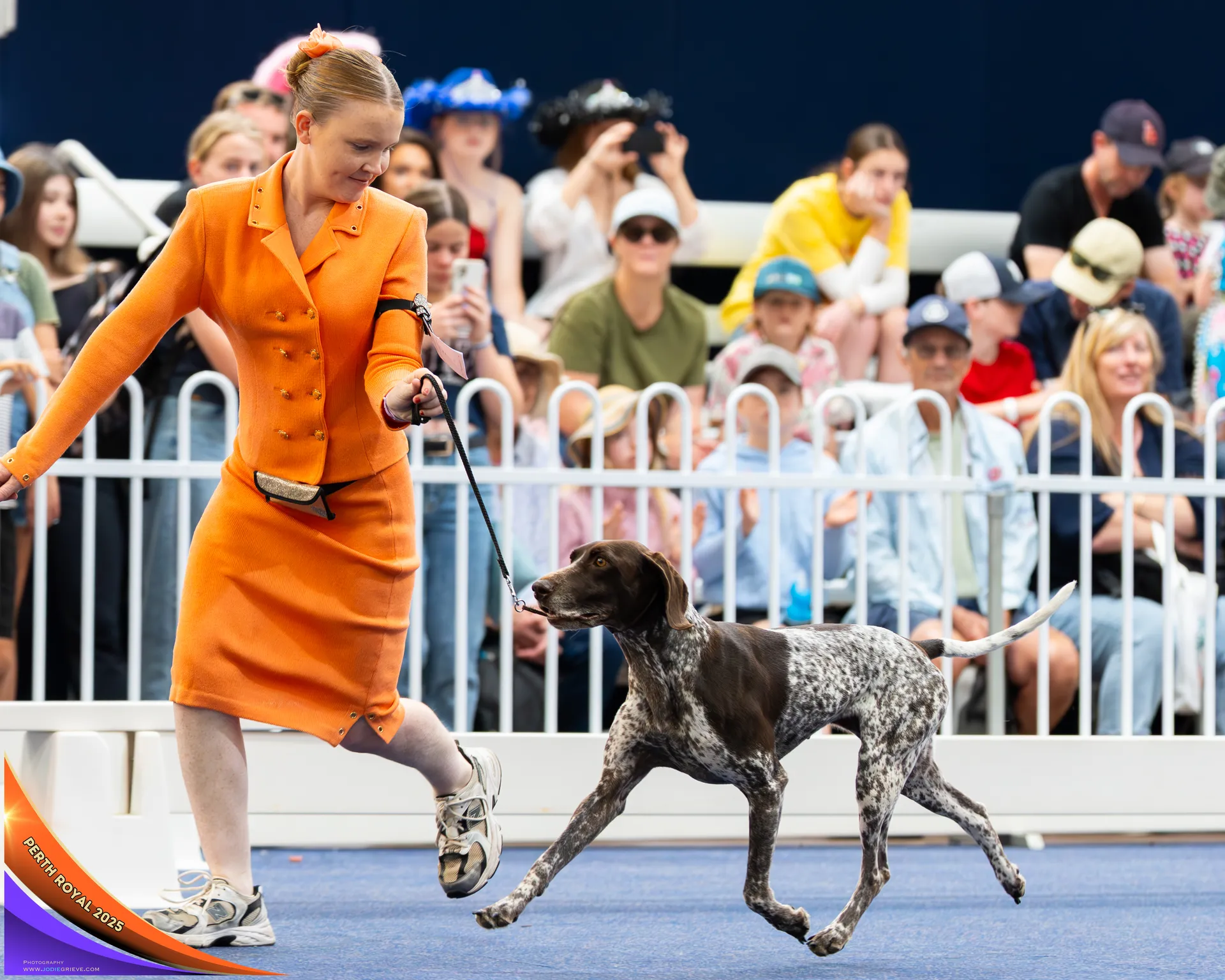 Gun dog group