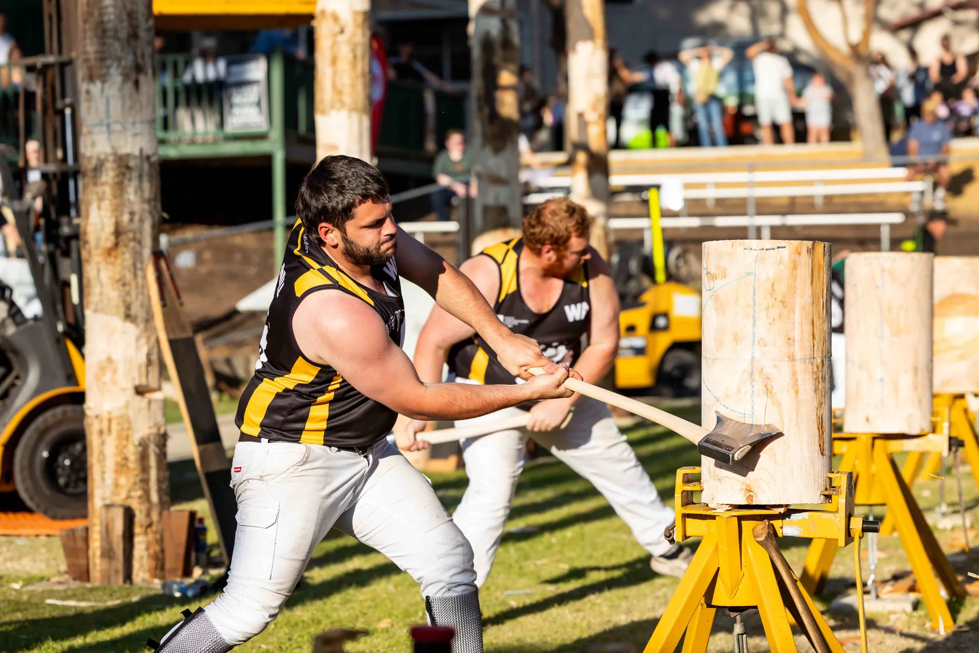 Woodchopping