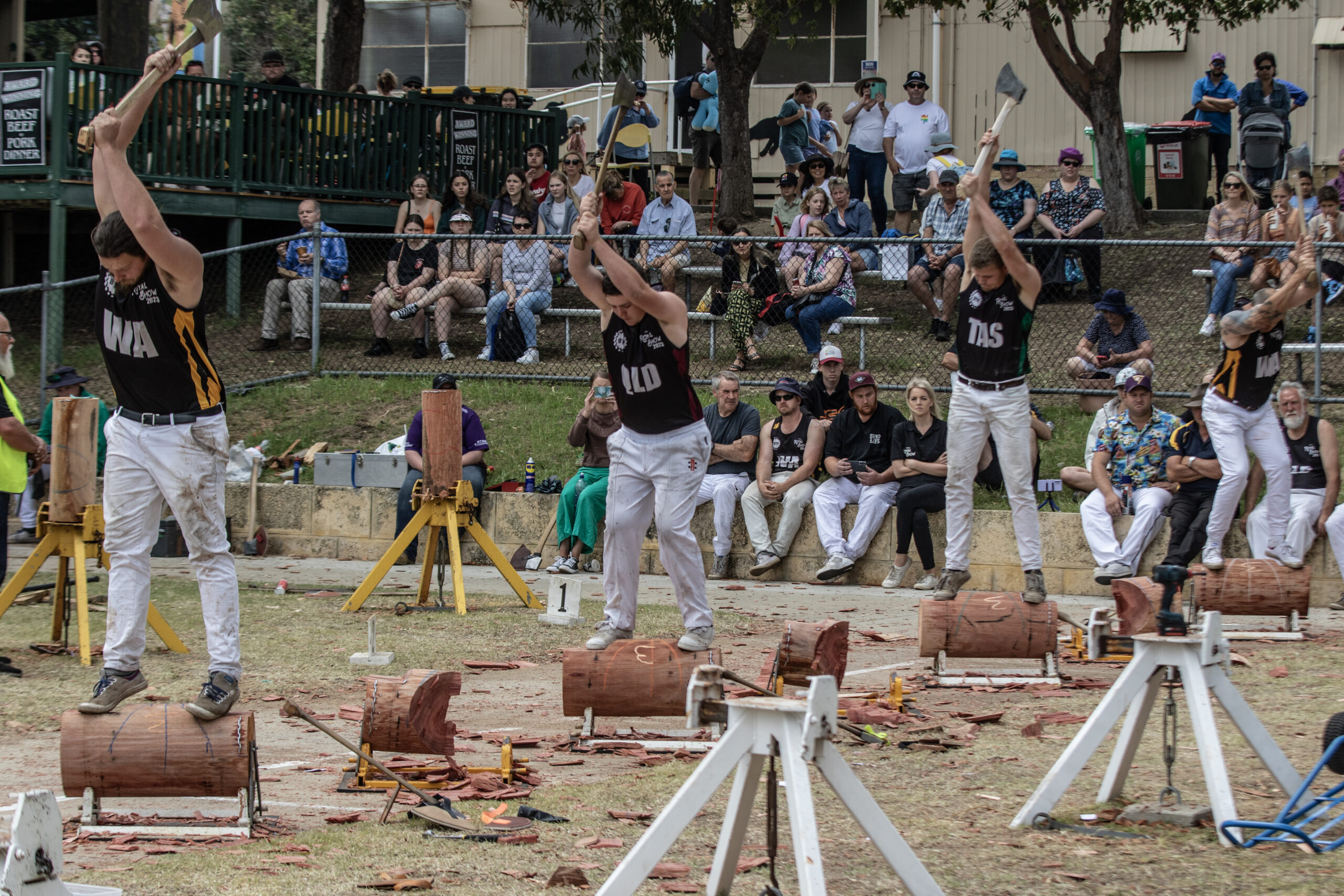 Axes Ready: Epic Woodchop Showdown at the Perth Royal Show