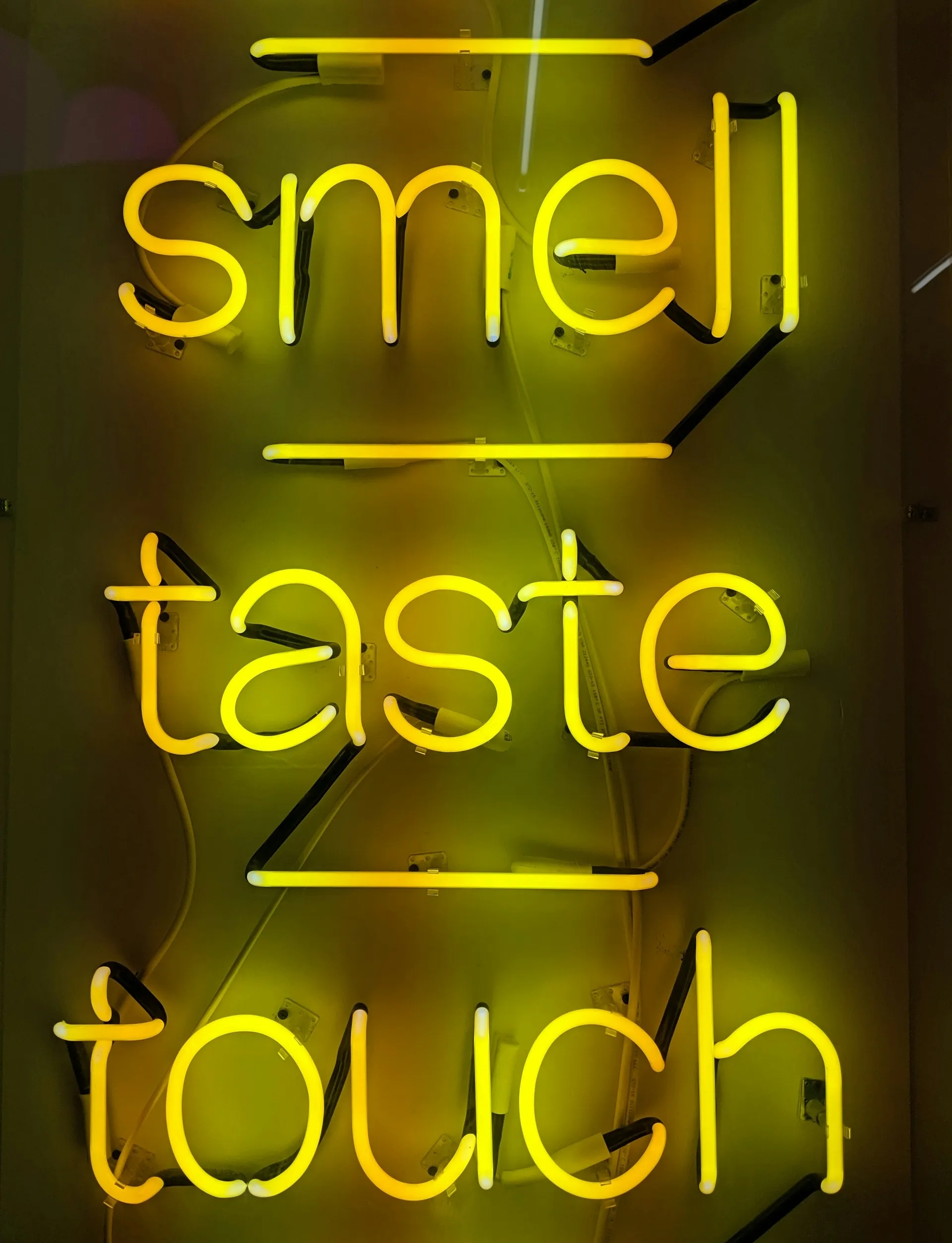 Neon lights saying Smell, Taste Touch