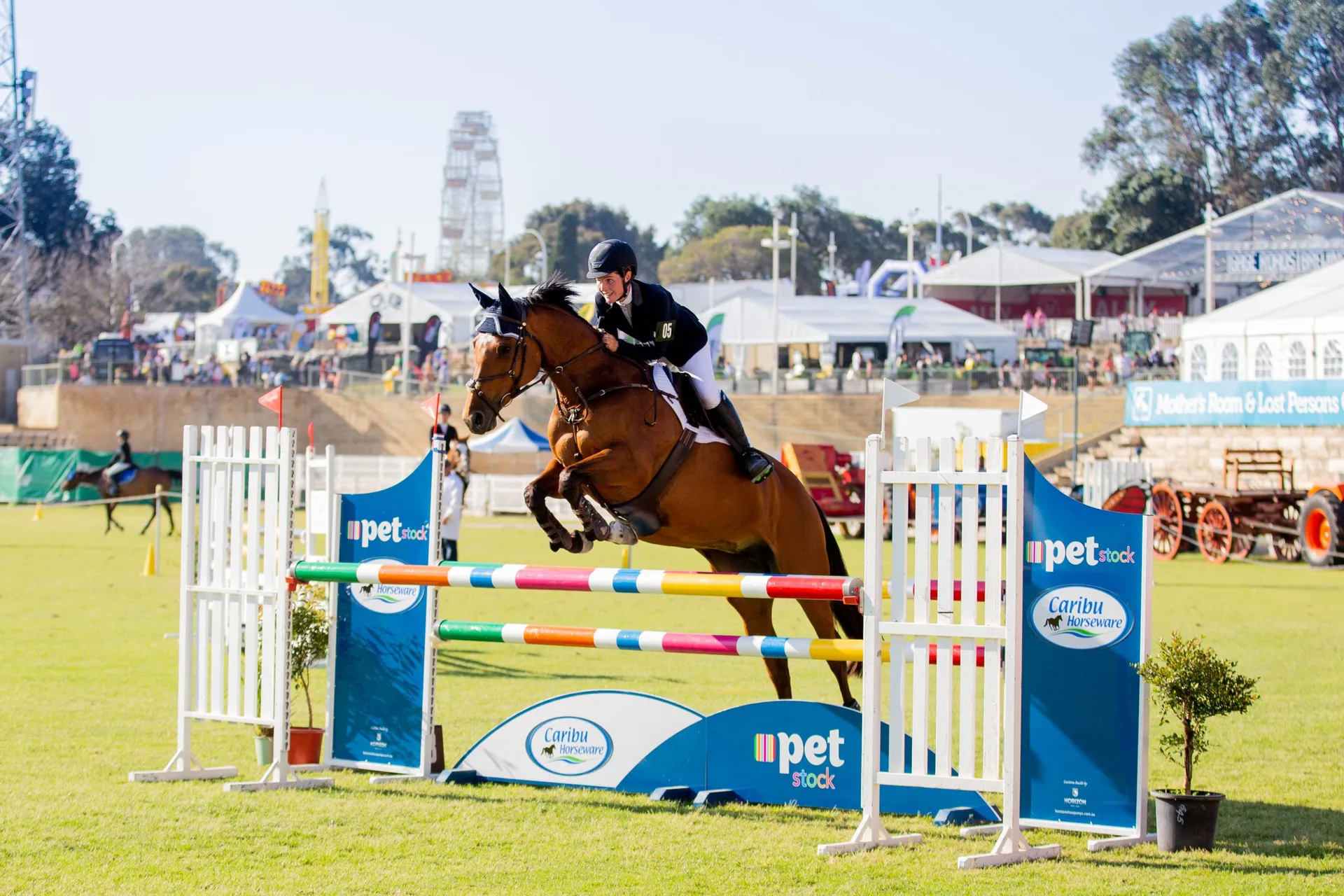 Show Jumping