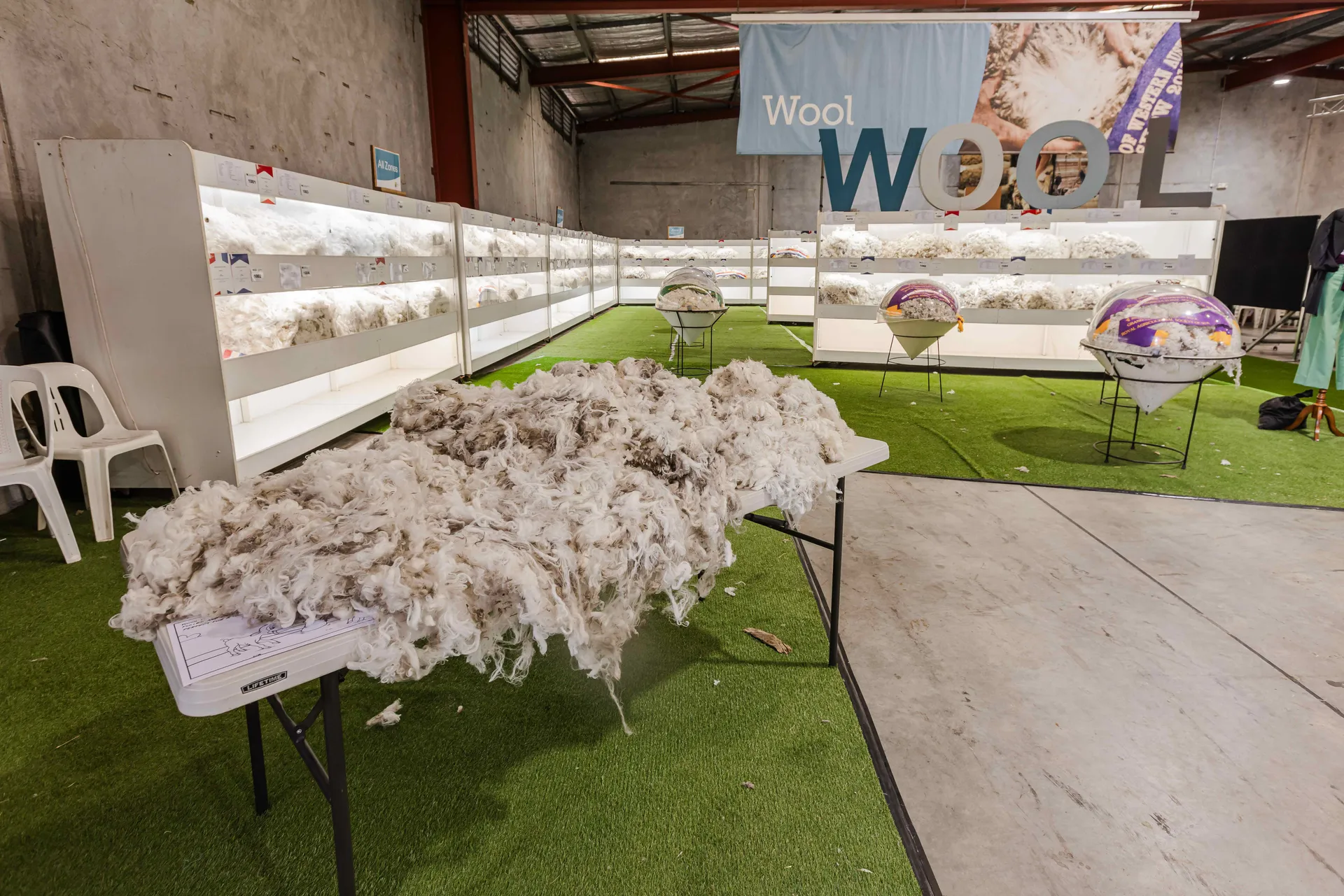 Wool