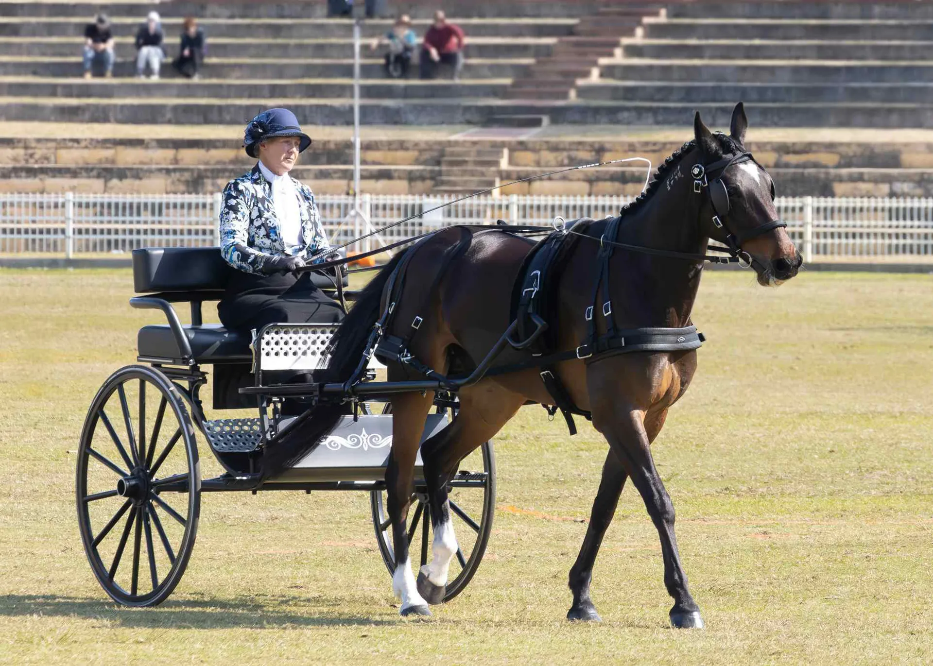 horse harness
