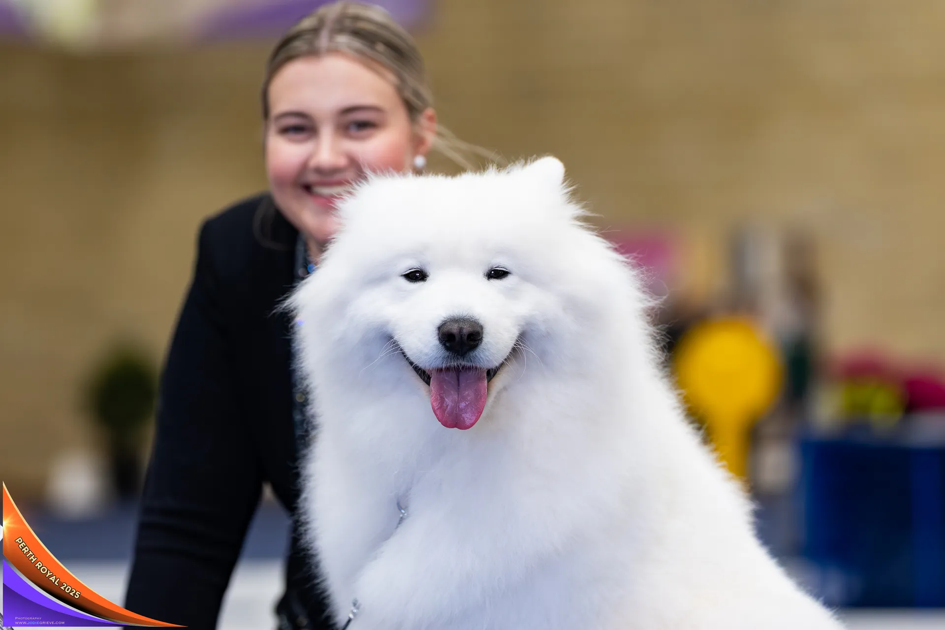 Samoyed exhibiting in Pawvilion at Perth Royal Show
