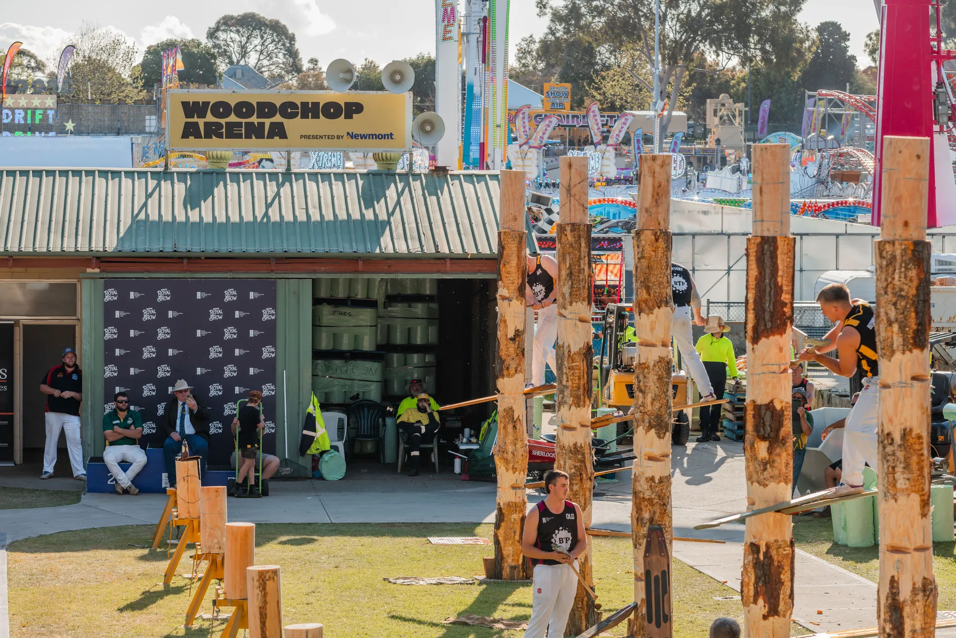 Woodchop Arena