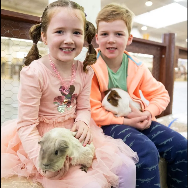 Farmyard Nursery Photography