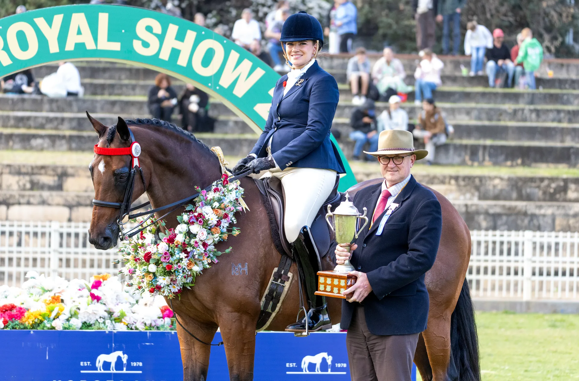 Show Horse