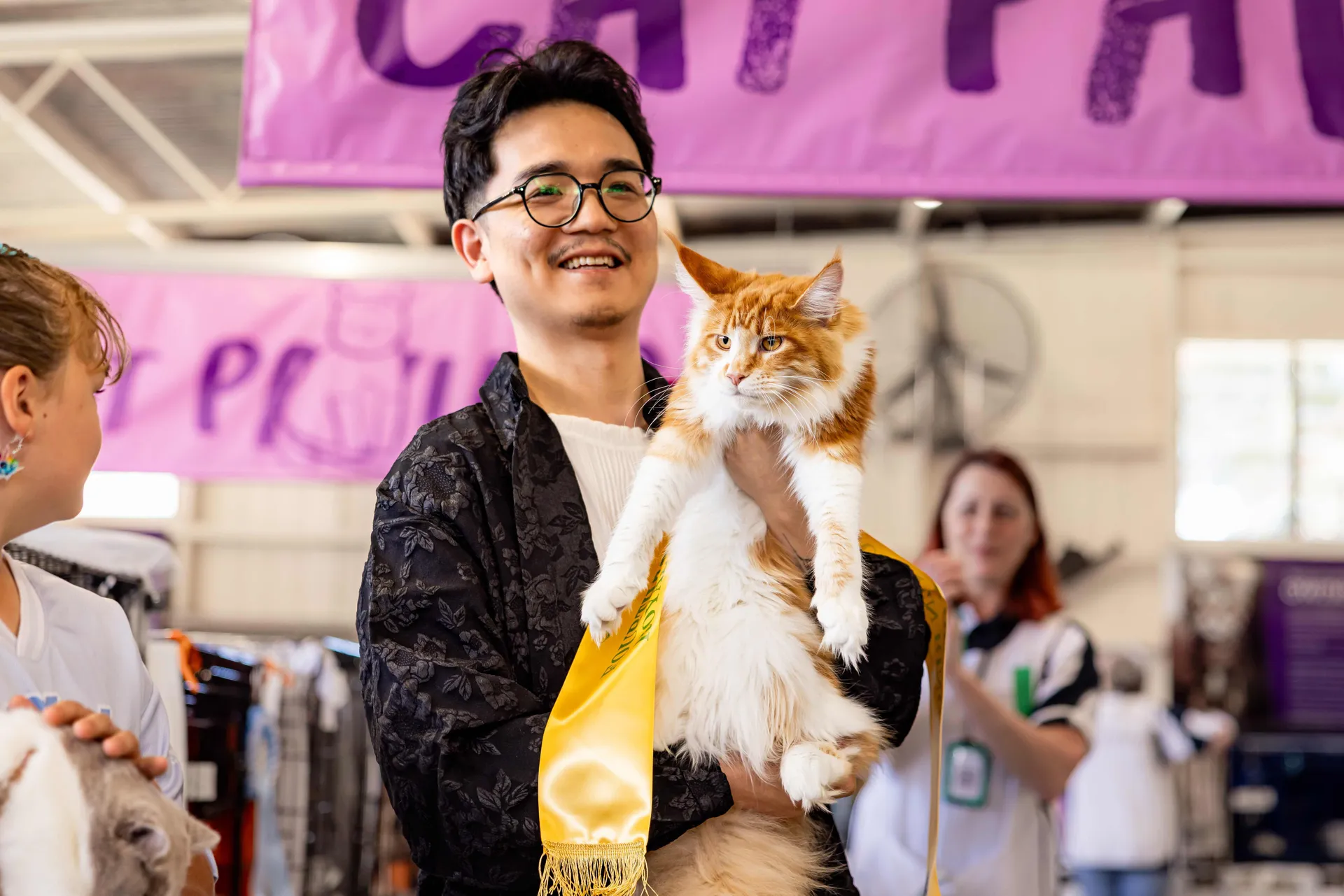 Cats