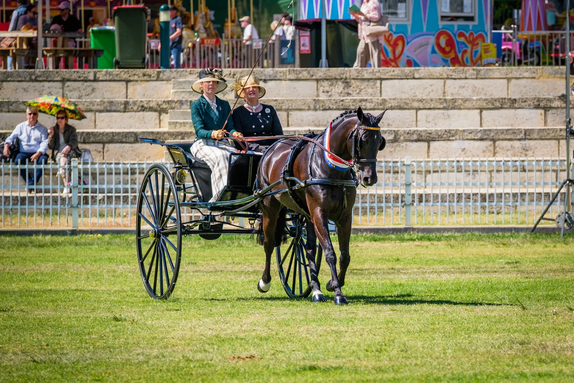 horse harness