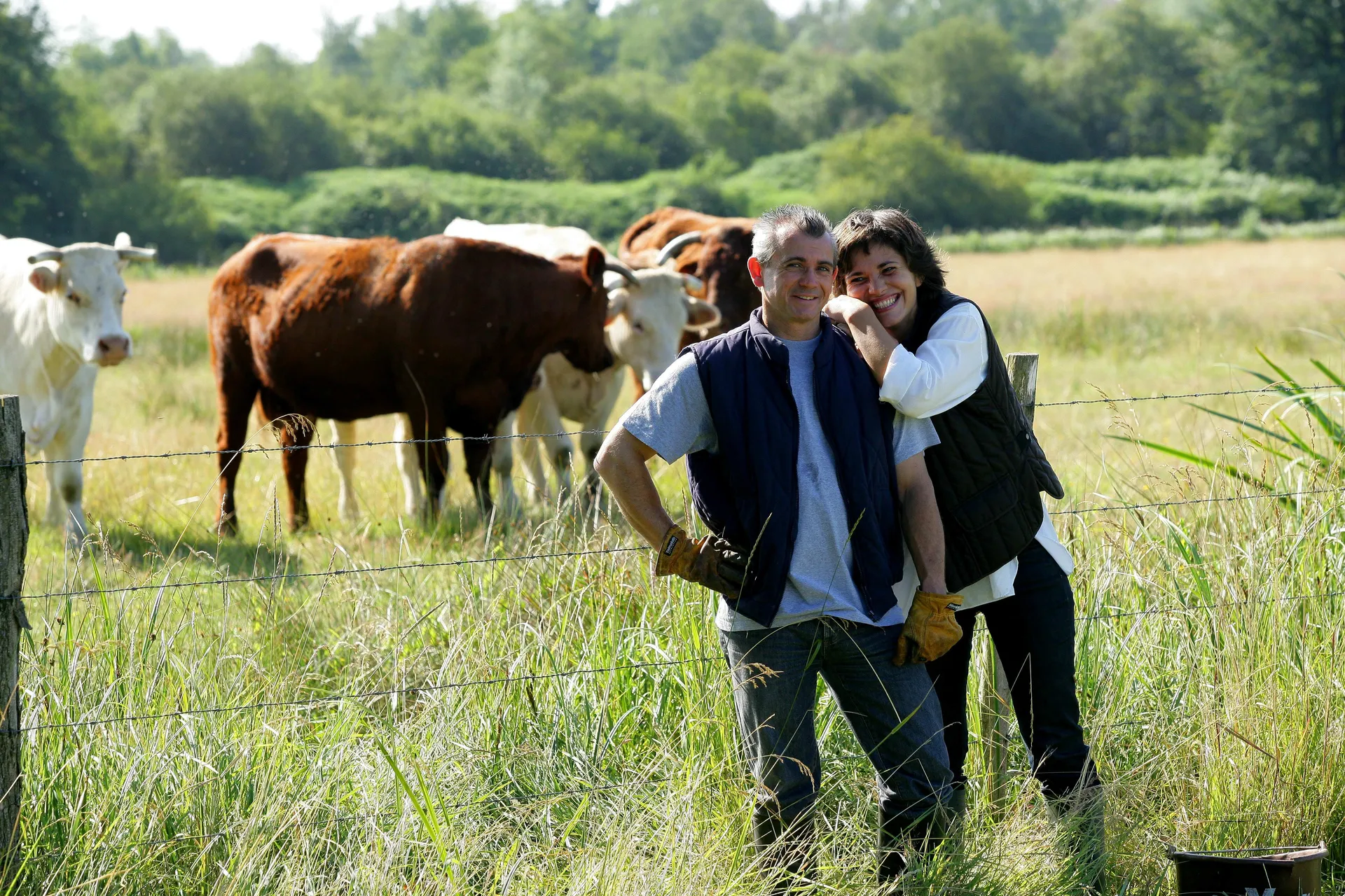 Two farmers standing in a paddock with cattle behind a fence