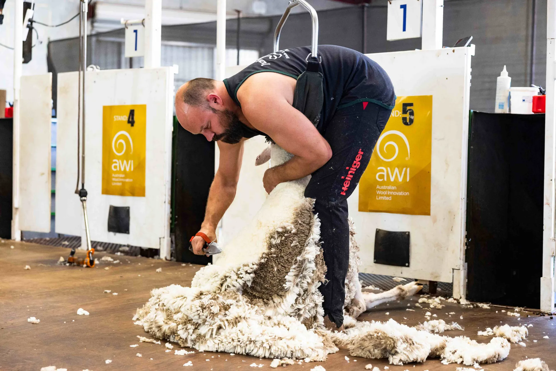 Sheep and Woolhandling