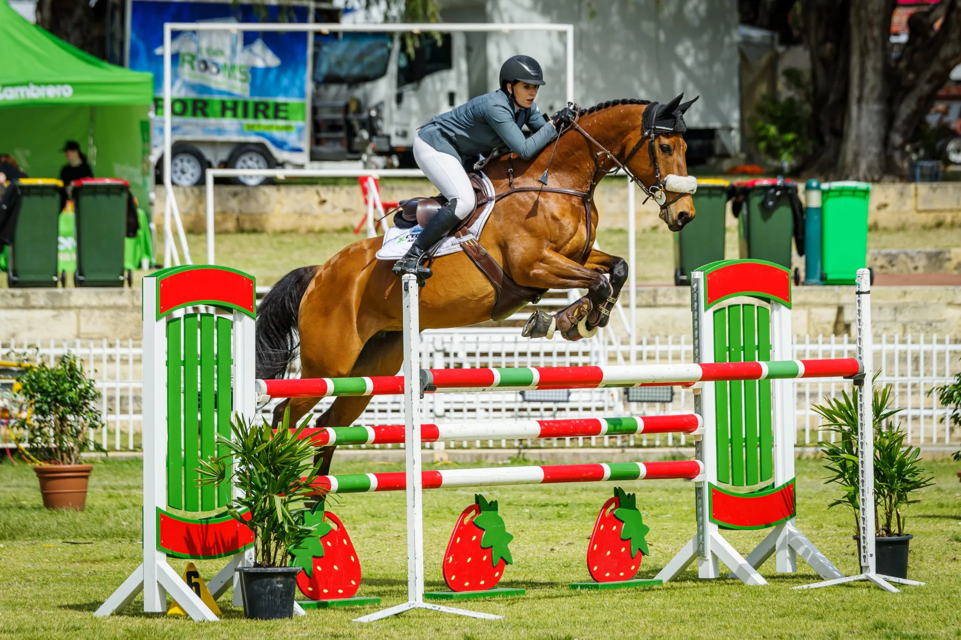 Show Jumping